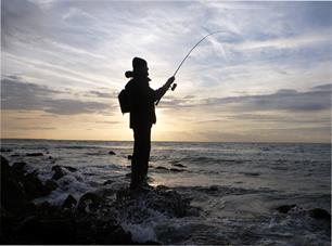 A new report highlights the importance of Sea Angling to UK Fisheries