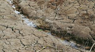 EAA signs the Open letter to Ursula von der Leyen on the EU's Water Resilience Initiative as nature-based water resilience cannot wait