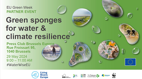 Living Rivers Europe event: Green sponges for water & climate resilience