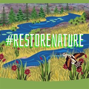 The Nature Restoration Law has (finally) been fully adopted! 