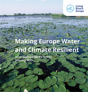 Water Resilience Initiative - Make Europe Water and Climate Resilient!